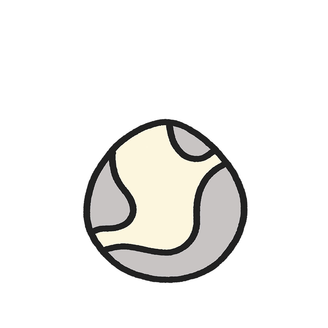 Cool Pet #2167